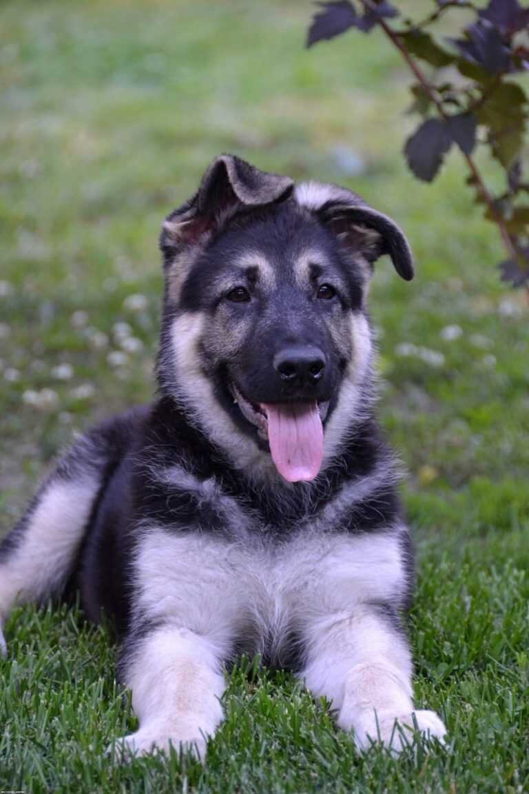 Из открытых источников.