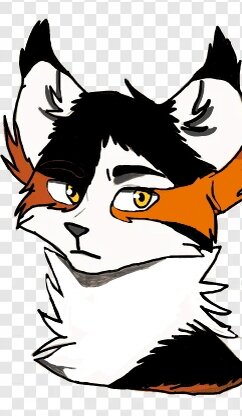 Ярохвостик:3