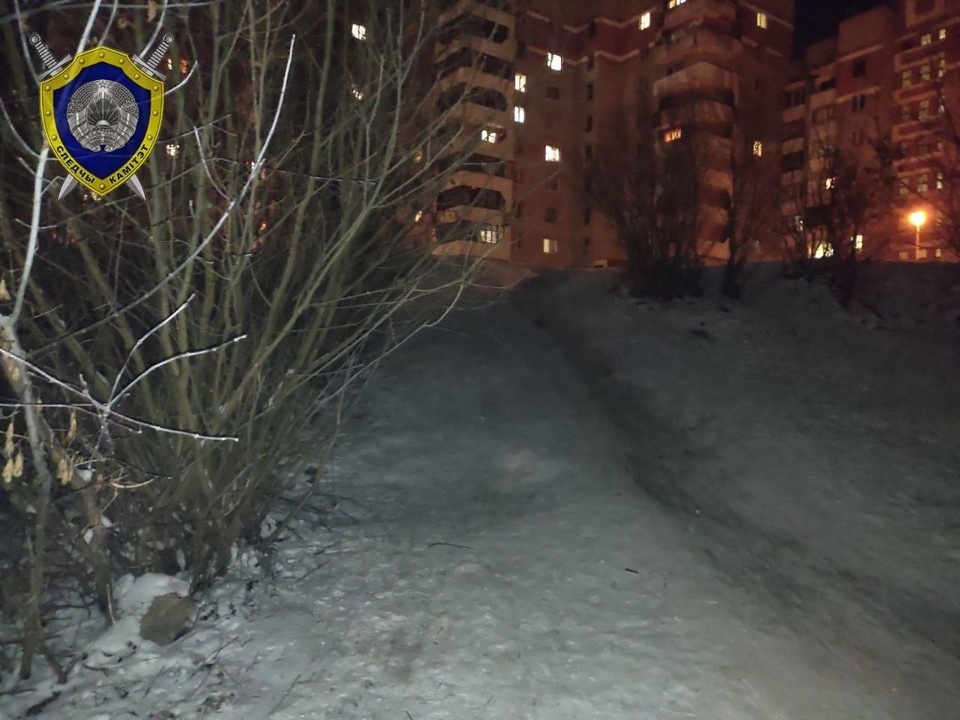     В Барановичах 11-летний мальчик на тюбинге врезался в дерево. Фото: телеграм-канал Следственного комитета