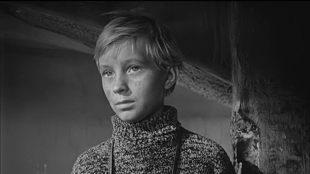 Фото из открытых источников.