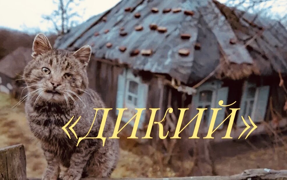Древо жизни