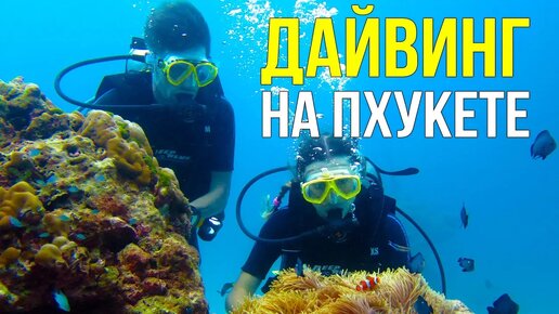 Дайвинг на Пхукете - рыба укусила ухо, как такое могло произойти?