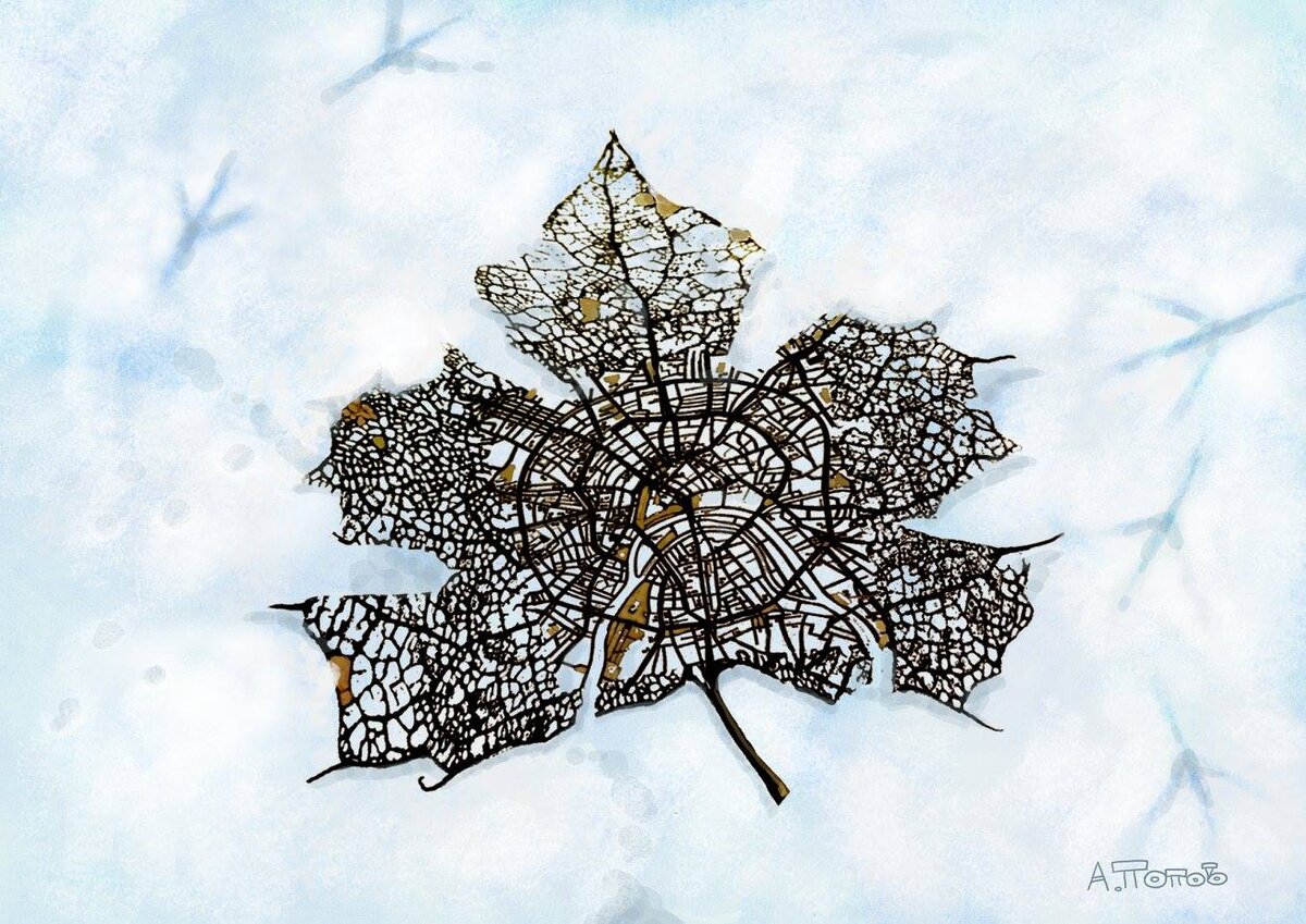 © Андрей Попов /  Andrey Popov / Санкт- Петербург / ( *1970 ) 