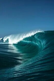 Яндекс.Картинки 