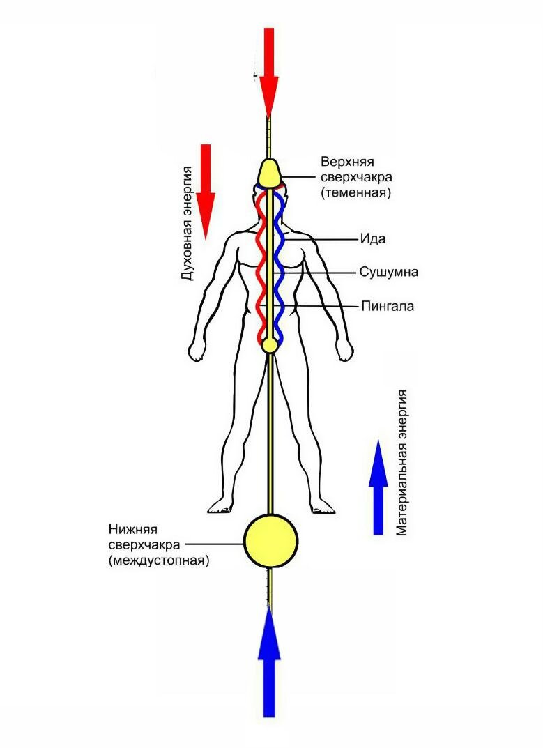 Вход и распределение Космической и Земной энергий в теле человека 