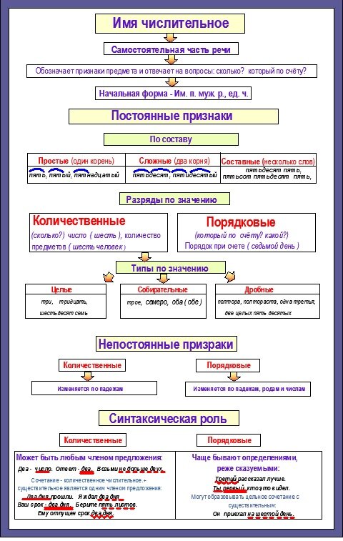 19. Тема 16. Морфология. Части речи. Имя числительное. | Школа русского ...