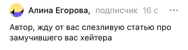 Скрин комментария ныне заблокированного аккаунта.