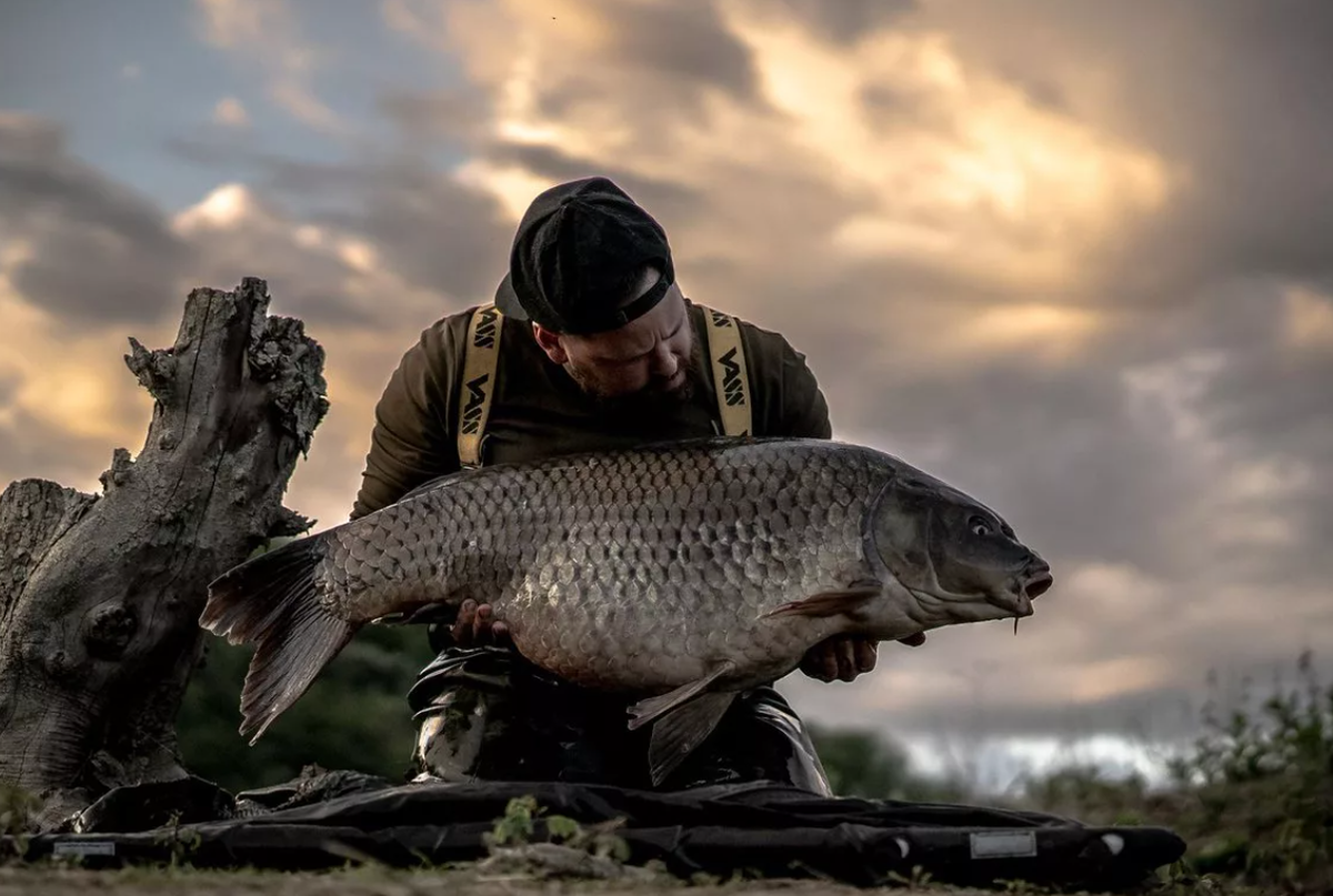 4 карпа рыбалка. Carpfishing. Рыбалка на карпа. Карпфишинг красивые. Рыбалка карпфишинг.