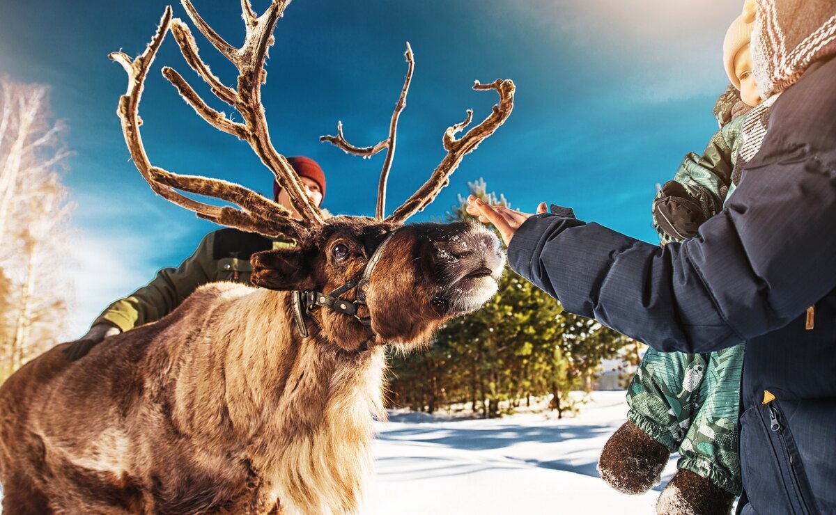    Снежное – волшебное: идеи для зимних каникул в Тюменской области