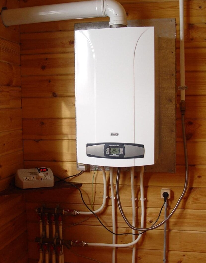 Картинка из интернета