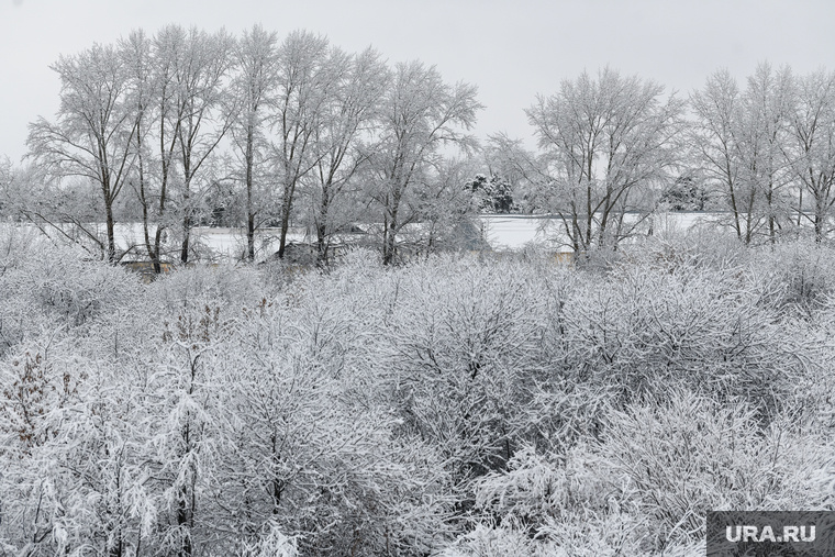    Если РФ затянет конфликт на всю зиму, то Киев сломается, пишет Bloomberg