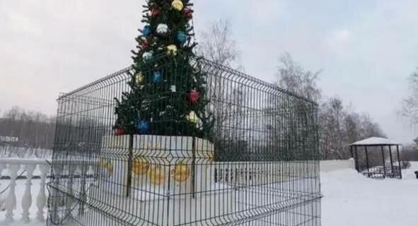    А то каждый руки тянуть будет. Алексей Потапов.