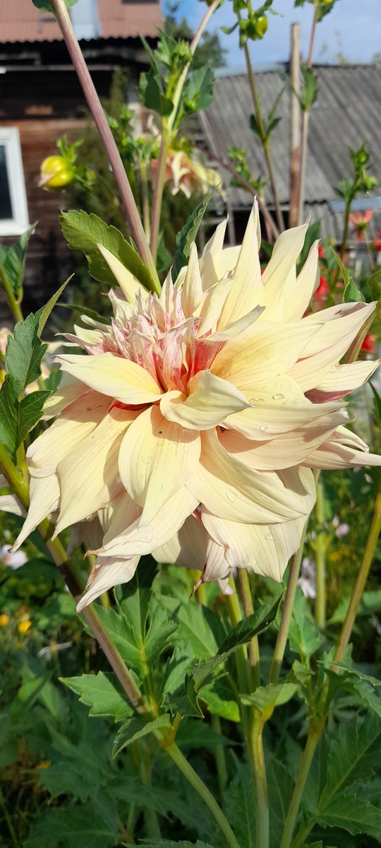 фото для обложки