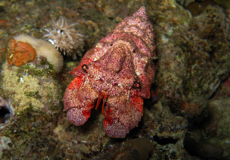 Ты как-будто только что из ада.