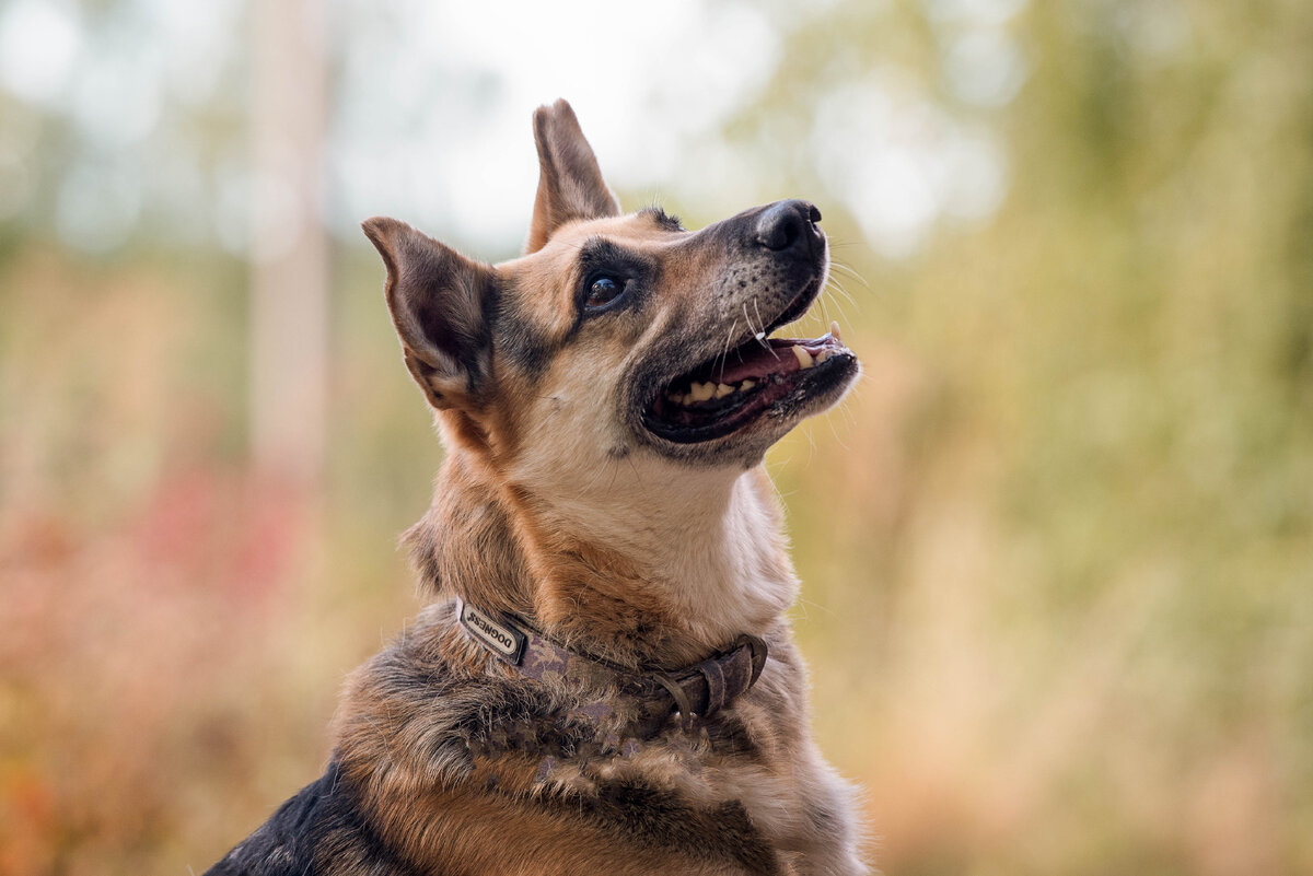 Что скажешь, Друг? - Ту лучший Друг!