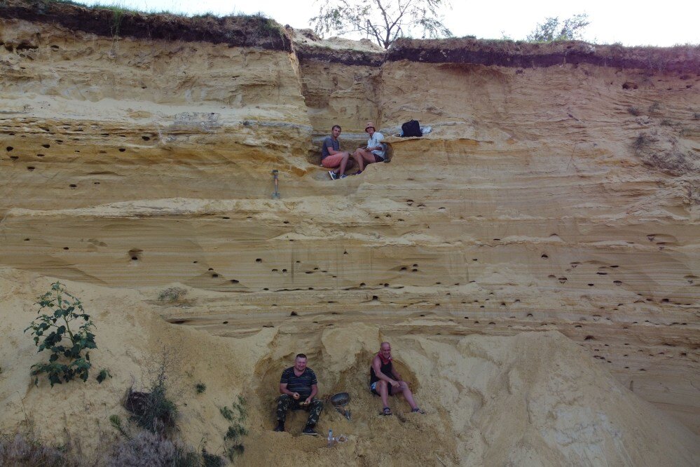    Учёные знали, что карьер хранит тайны эволюции природных сообществ. Фото: Из личного архива/ Вадим Титов