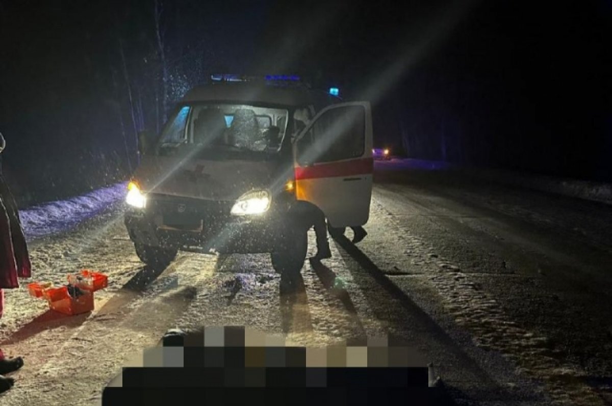    В Башкирии водитель скорой помощи задавил пешехода