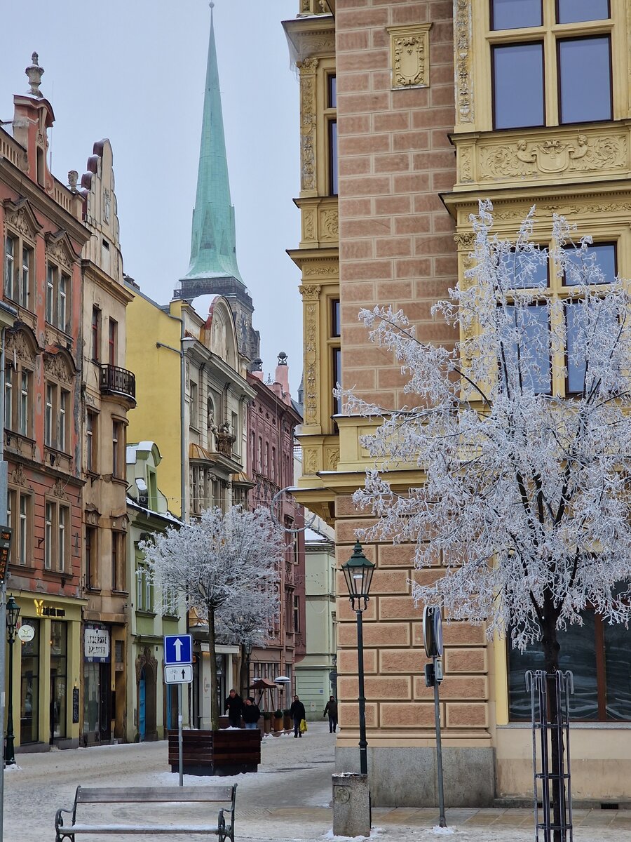 Фото автора: зима пришла в Чехию, все болеют