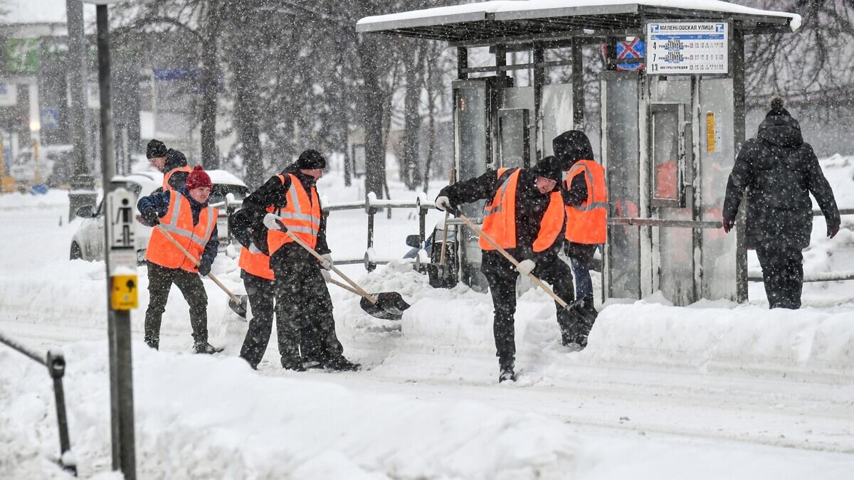    Работники коммунальной службы чистят от снега остановку московского городского транспорта© РИА Новости / Михаил Воскресенский