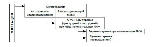 Рекомендуемая последовательность различных методов адъювантной терапии рака молочной железы.