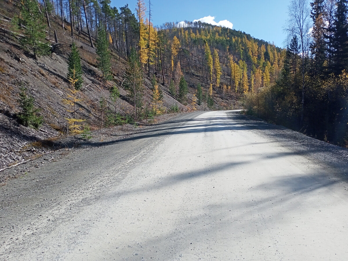 Сложный ландшафт фото автора