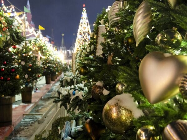    Фото: Светлана Лобова.UG.RU