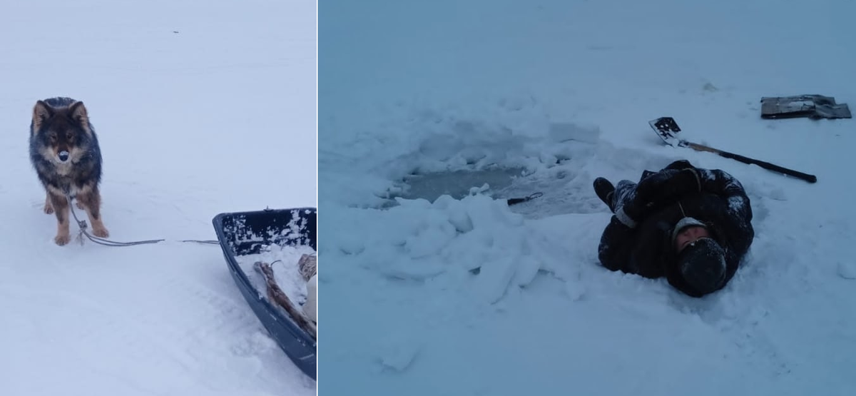 Фото: @rentv_news, Telegram