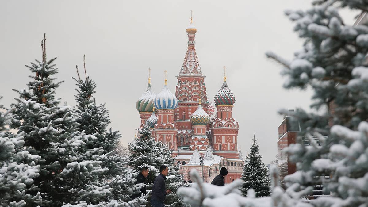    Фото: Сергей Шахиджанян / Вечерняя Москва