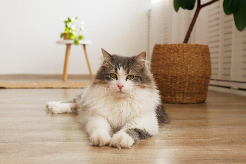       evrymmnt/ShutterStock/Fotodom.ru