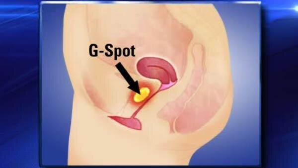 Фото с сайта http://uro-ginecology.ru/uslugi-kliniki/esteticheskaya-ginekologiya/uvelichenie-tochki-g