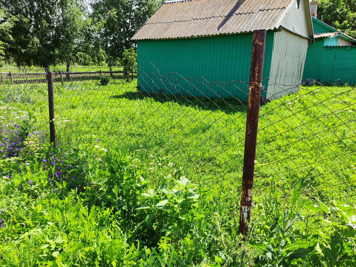 Покупать участок без межевания