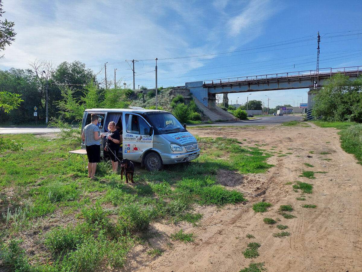 Утром не жарко, поэтому мы остановились на полянке.