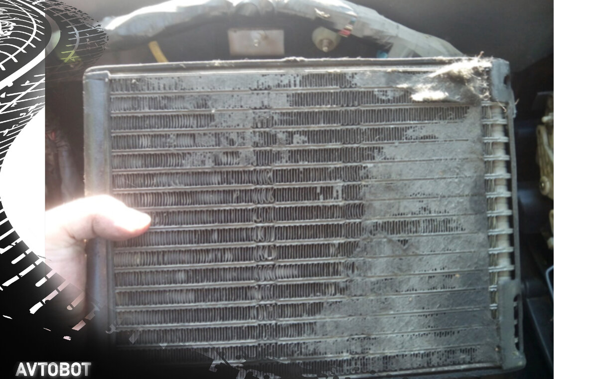 Загрязнённый испаритель. Фото в свободном доступе