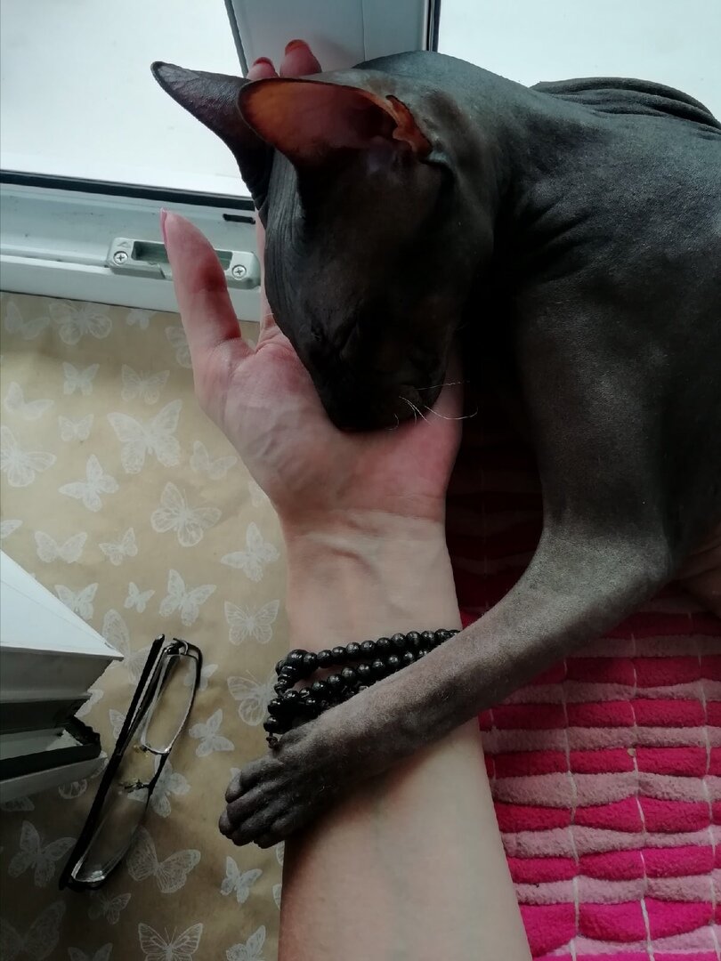 Бессменный редактор ВЕЧЕРНИХ СКАЗОК сам не работает и 