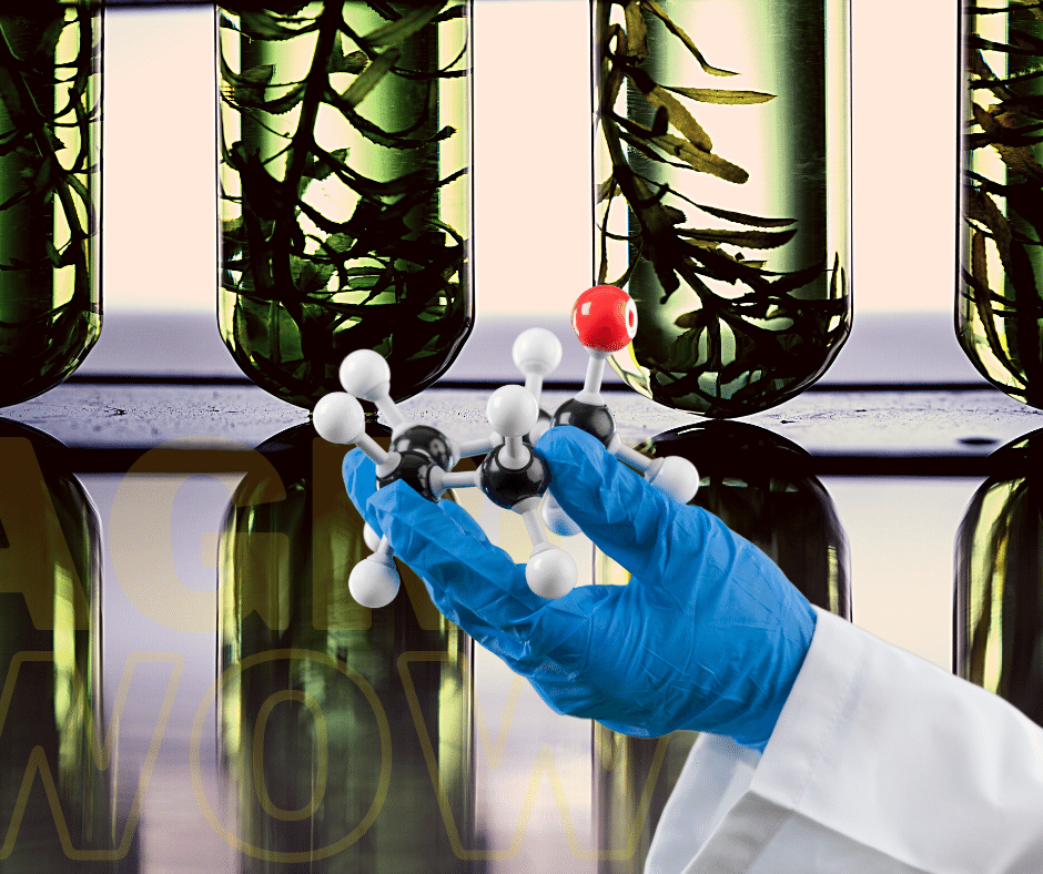 лаборатория биотехнологии. технологии качества калининград. лаборатория. работа в сфере биотехнологий. биотехнологическое производство.