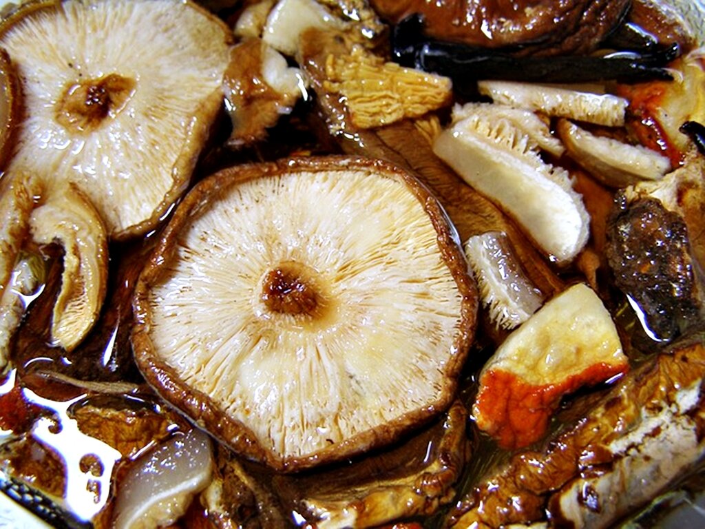 Изображение ConnieMWT с сайта Pixabay 