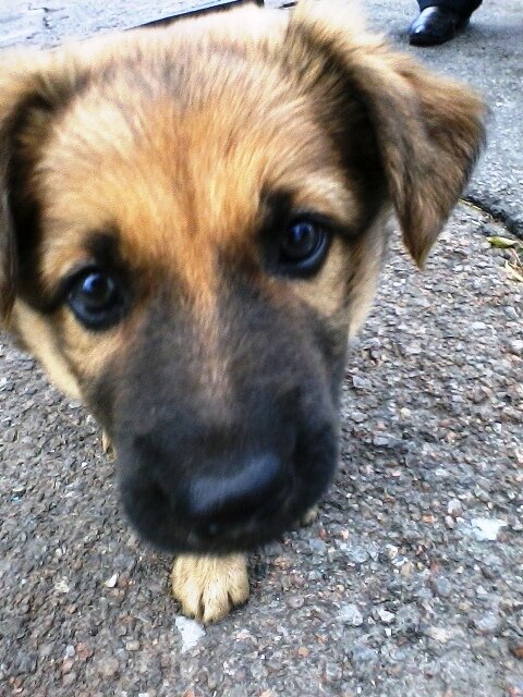 Фотография из личного архива