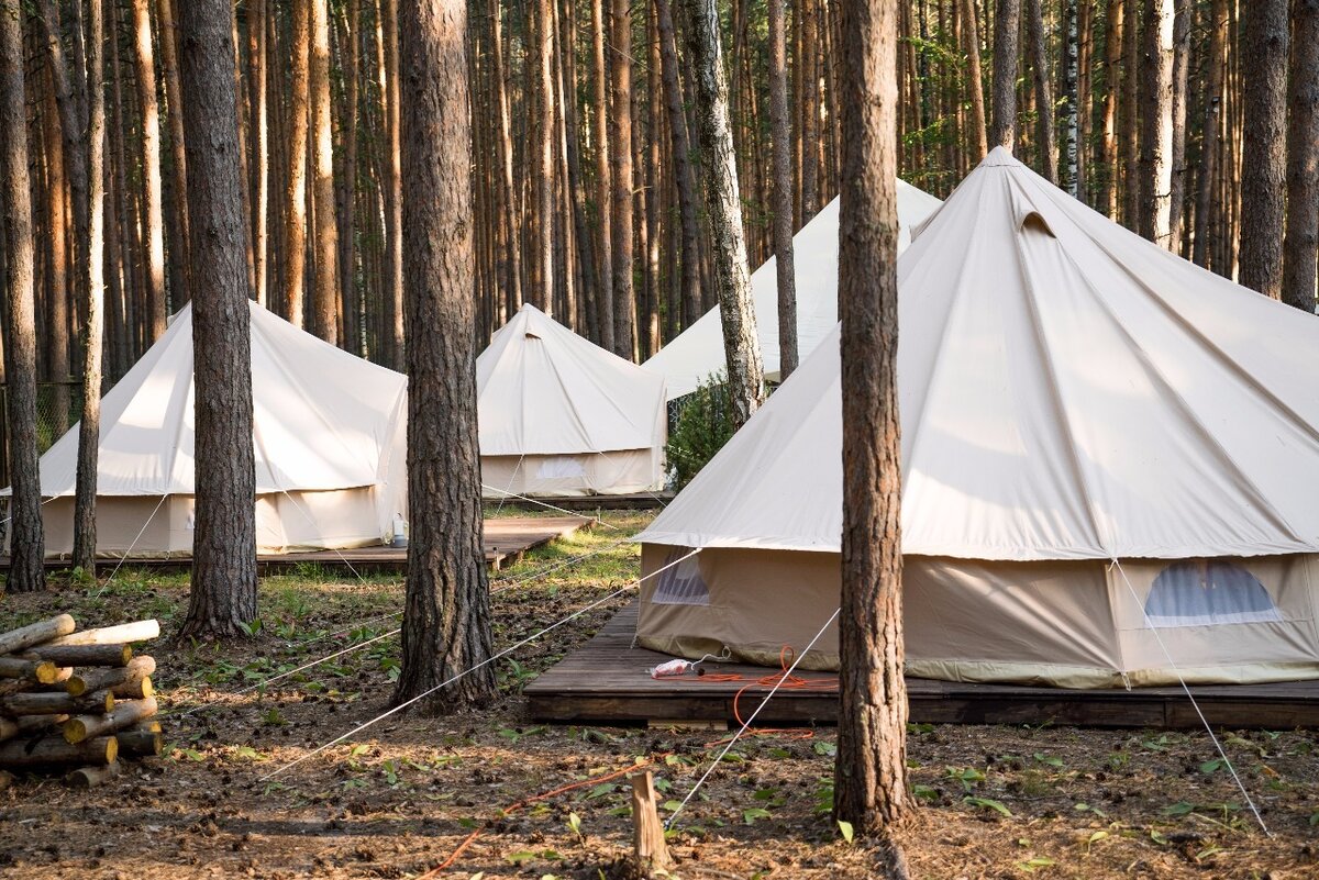 Фото: dingocamp.ru