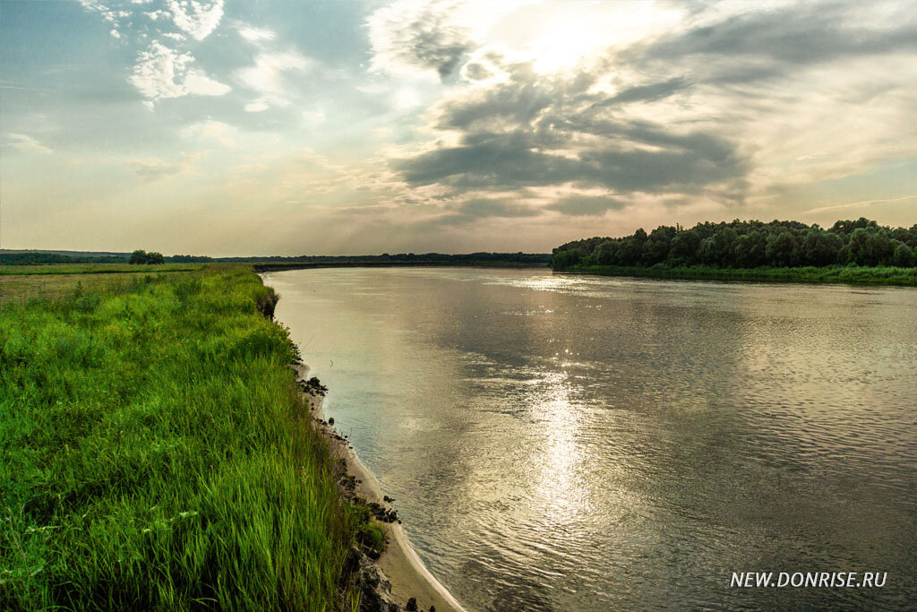 Берег Дона