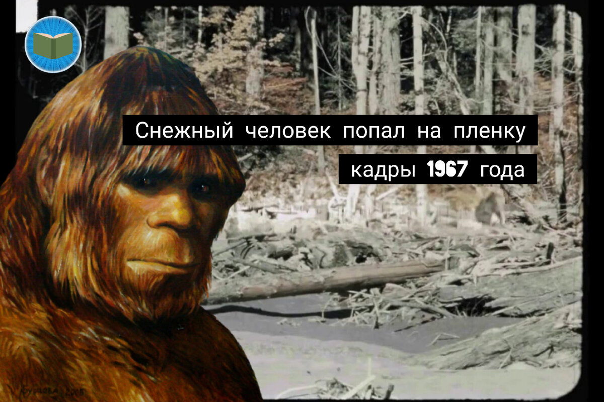 Иллюстрация автора