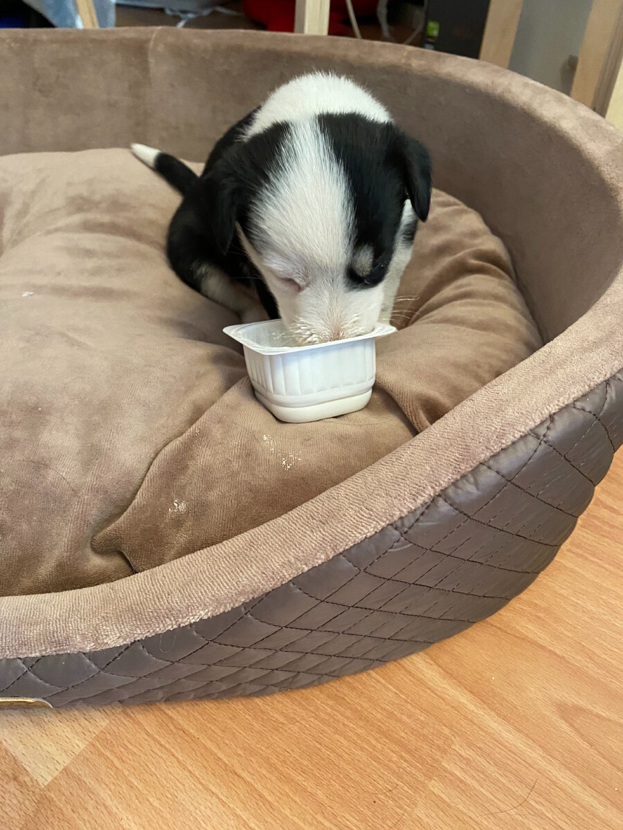 Совсем кроха