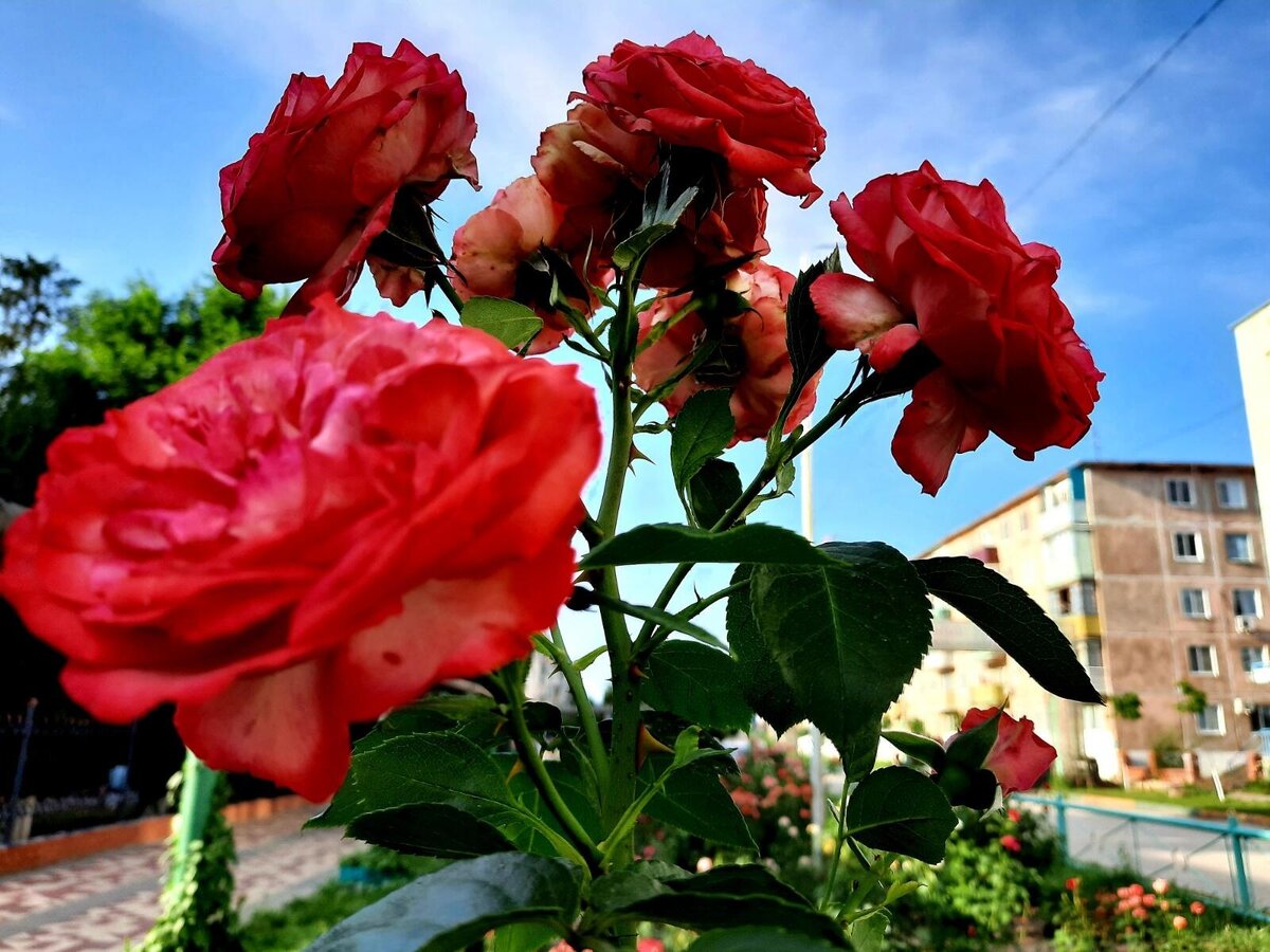 фото  автора