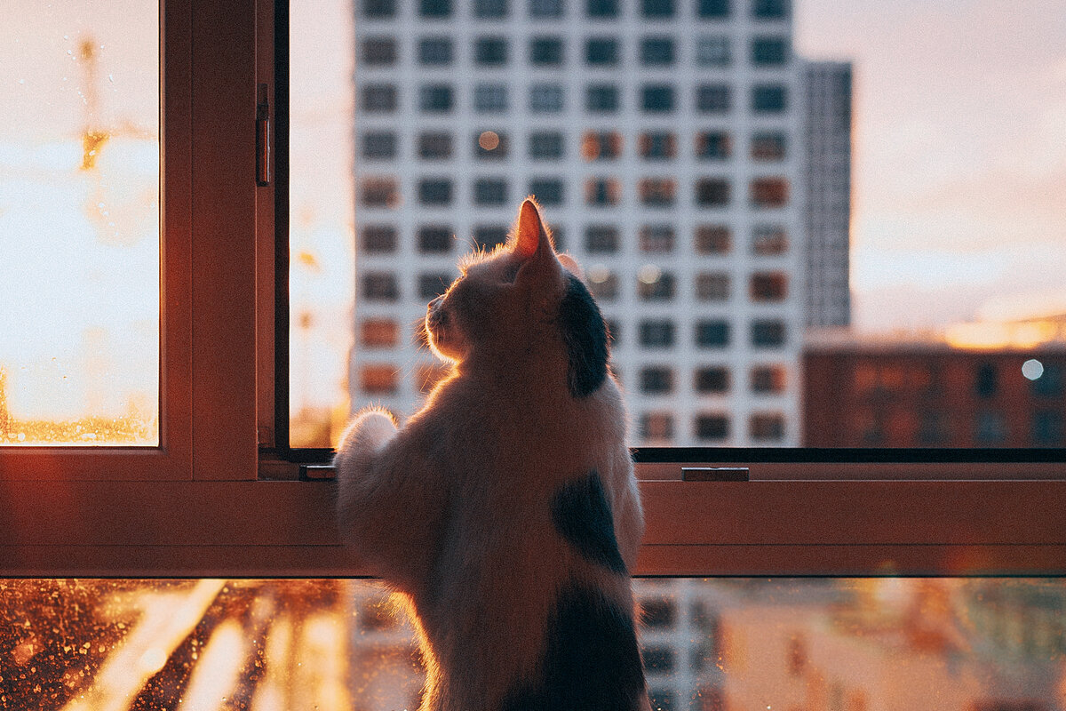 Хозяевам не стоит забывать об установке анти-москитных сеток.