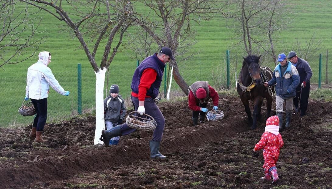 Весенние работы в саду и огороде картинки