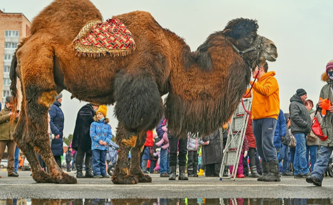 Фото с сайта: lentv24.ru