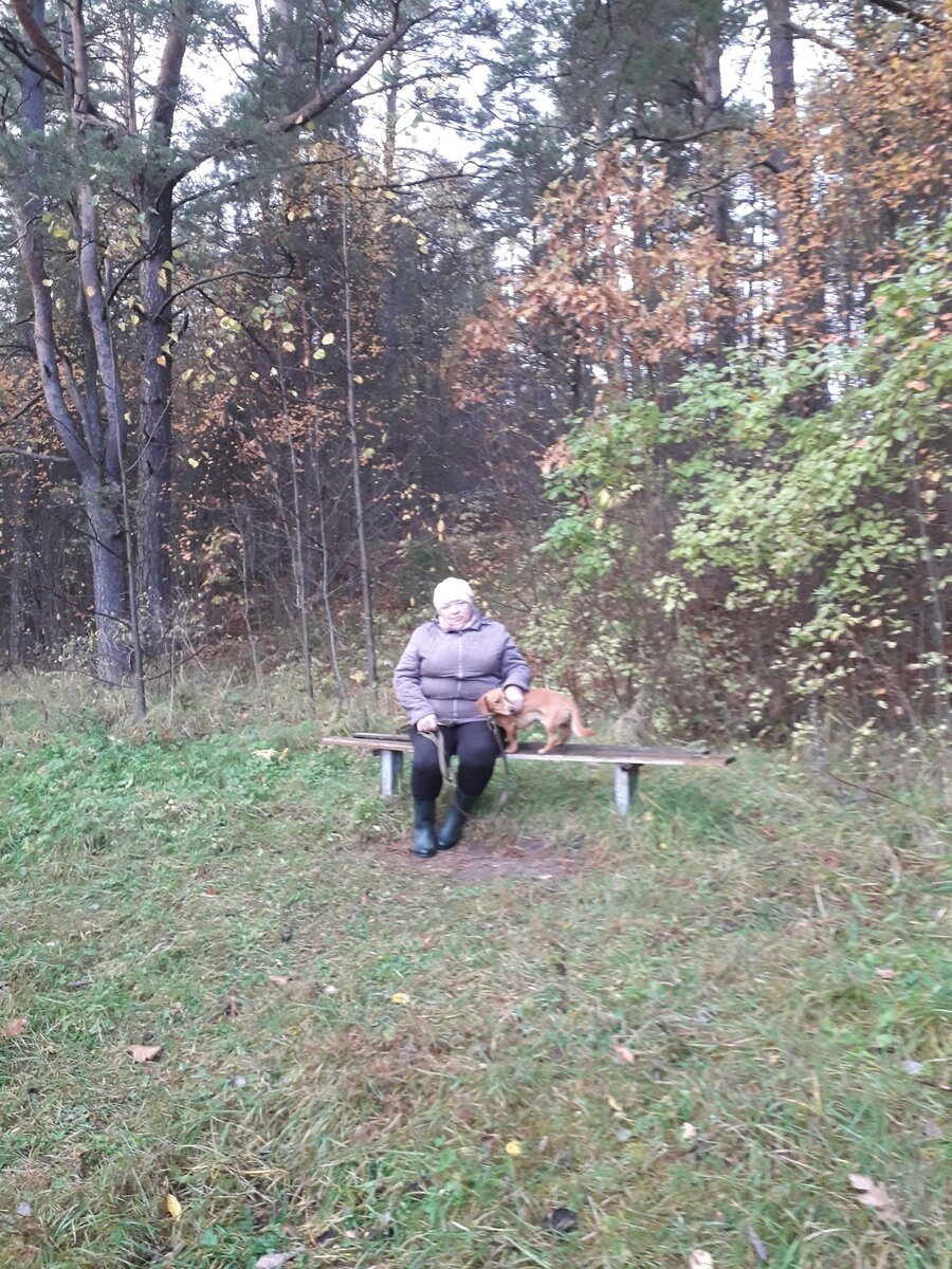 Фото автора.Внук снимал.