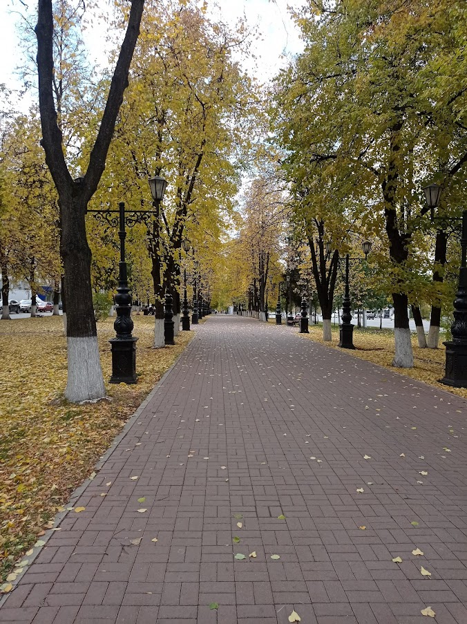 Фото автора. "Осенняя пора, очей очарованье... " (А. С. Пушкин)