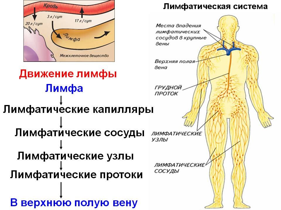 Яндекс картинки
