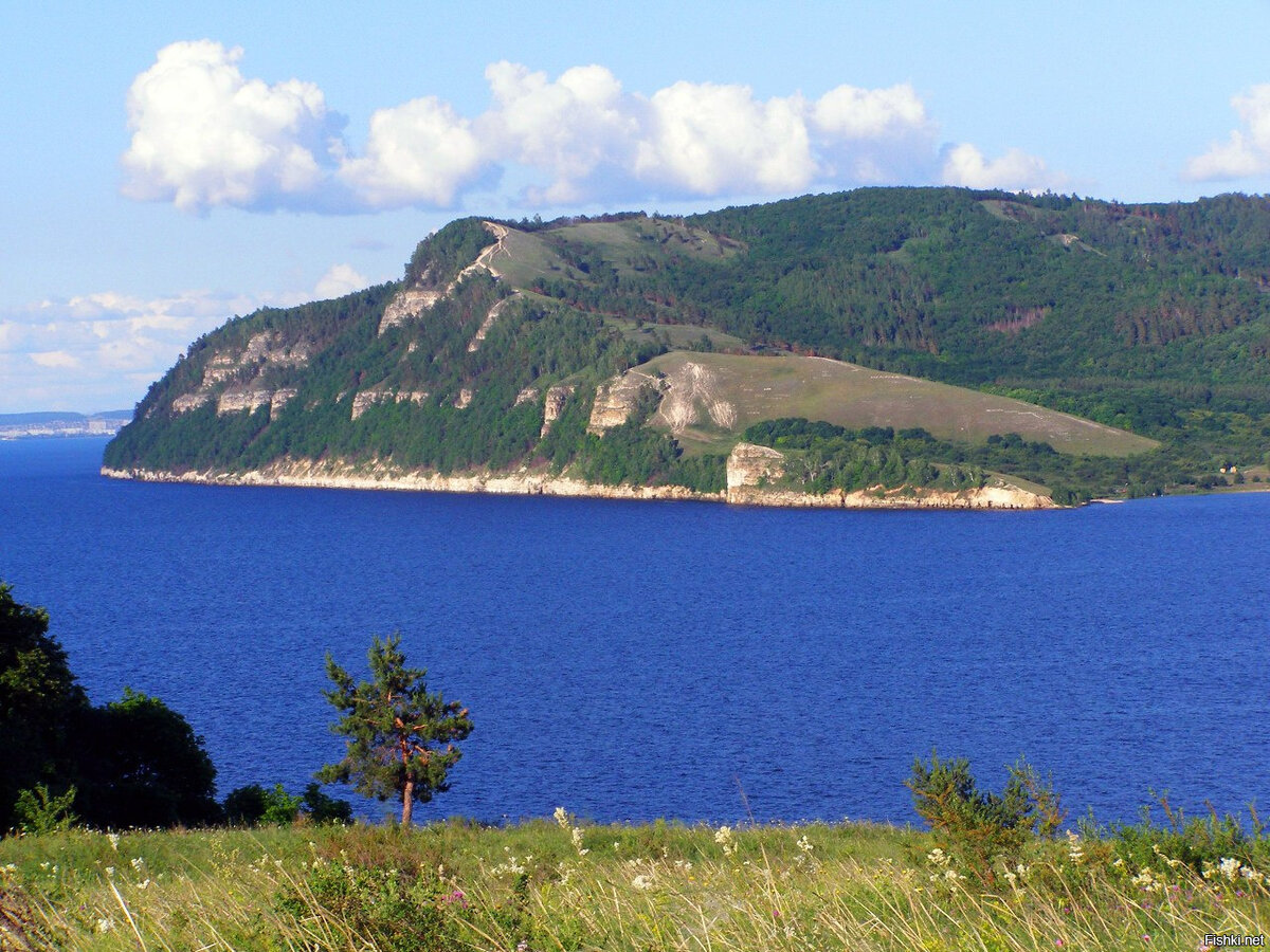 Заповедник в Самаре Самарская лука Молодецкий Курган