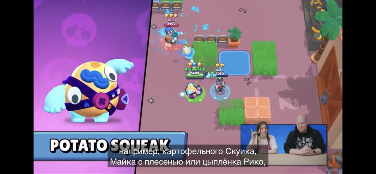 Картошка Скуик (что это вообще)